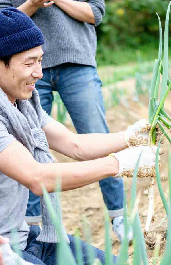 TEAM VEGETABLE PICKING: MAKE A DELICIOUS CUR