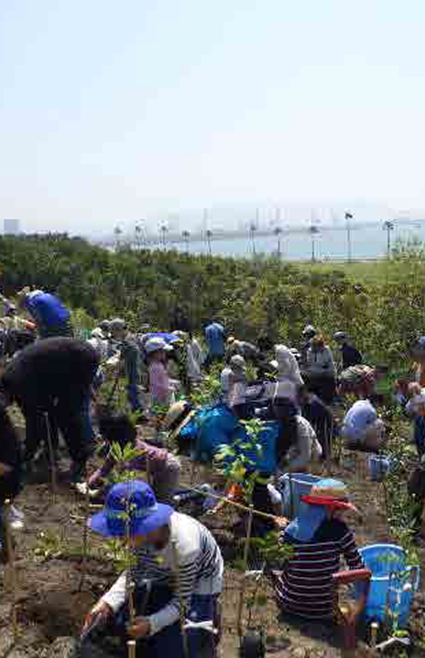 REFORESTATION AND COASTAL CLEAN UP: GIVE BACK TO NATURE