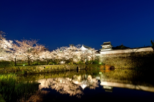 下之橋御門と桜