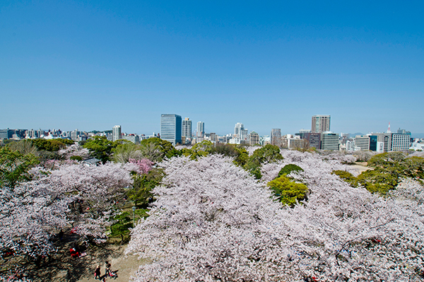 節分祭